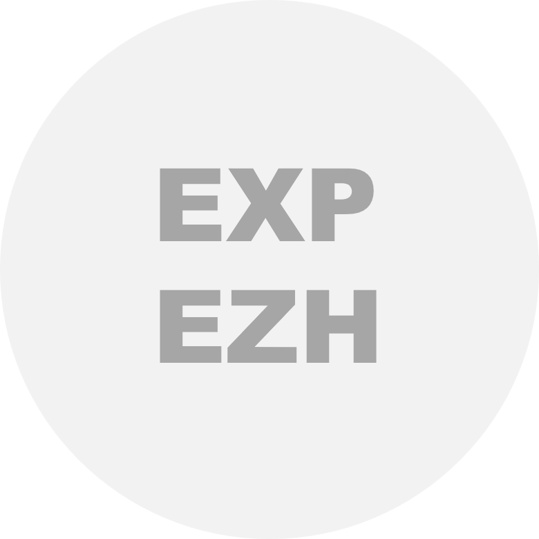 Logo Expansionist Platzhalter